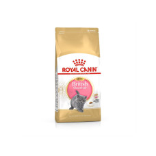 Royal Canin British Shorthair Kitten 2 Kg Yavru Kuru Kedi Maması