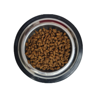 Pro Plan Medium Puppy Somonlu Köpek Maması 1 Kg