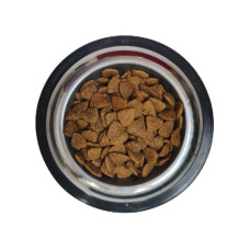 Pro Plan Medium Adult Kuzulu Yetişkin Köpek Maması 1 Kg