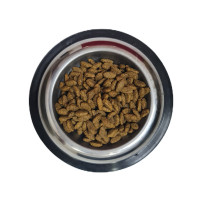 Pro Plan Medium Adult Somonlu Yetişkin Köpek Maması 1 Kg