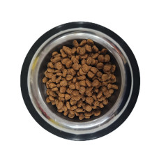 Pro Plan Medium Puppy Kuzu Etli Yavru Köpek Maması 1 Kg